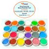 24pc Sample Pack | Pearlescent Mica Powder Set